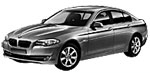 BMW F10 P2920 Fault Code
